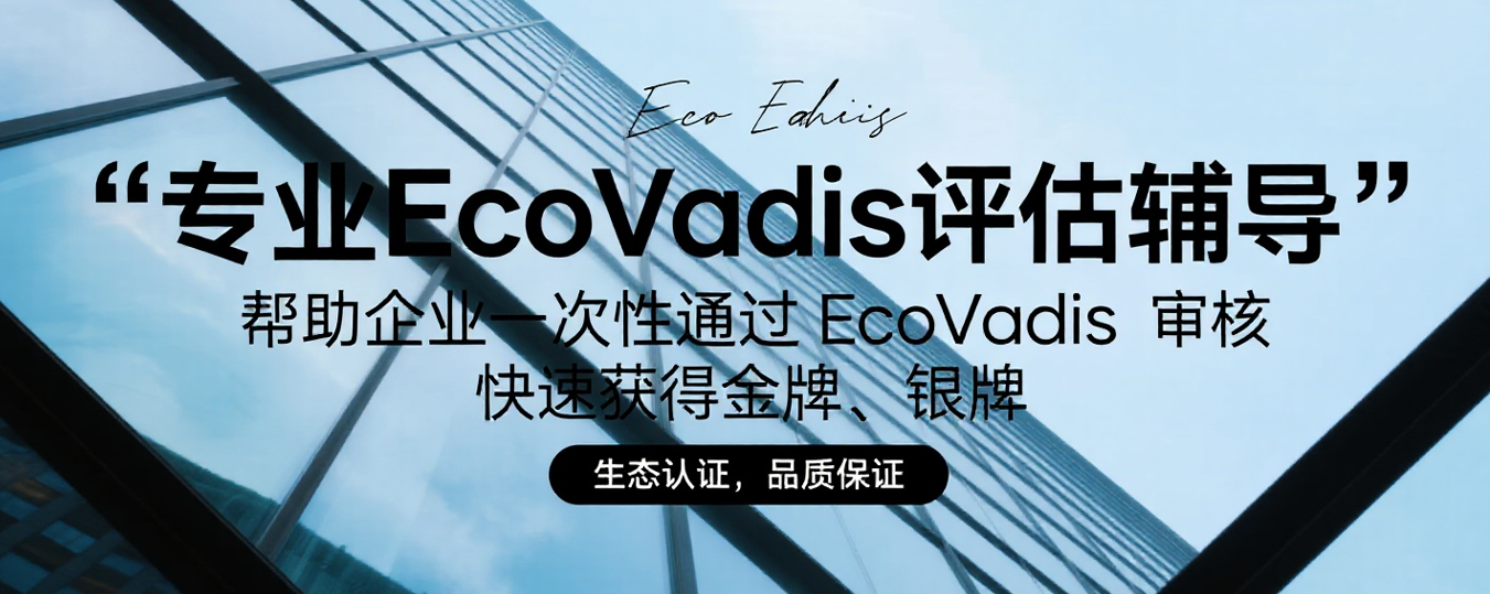 EcoVadis评估主要关注哪些方面？